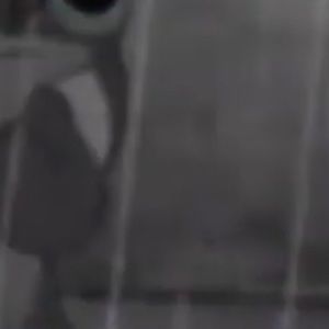 Meet your Posher, Selene